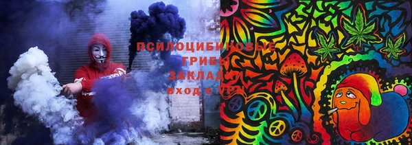 mdma Белокуриха
